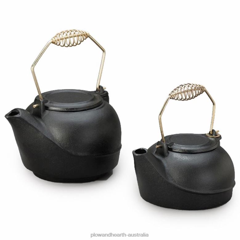 Plow & Hearth Cast Iron Steamer Kettle P22BD2839 Accessories