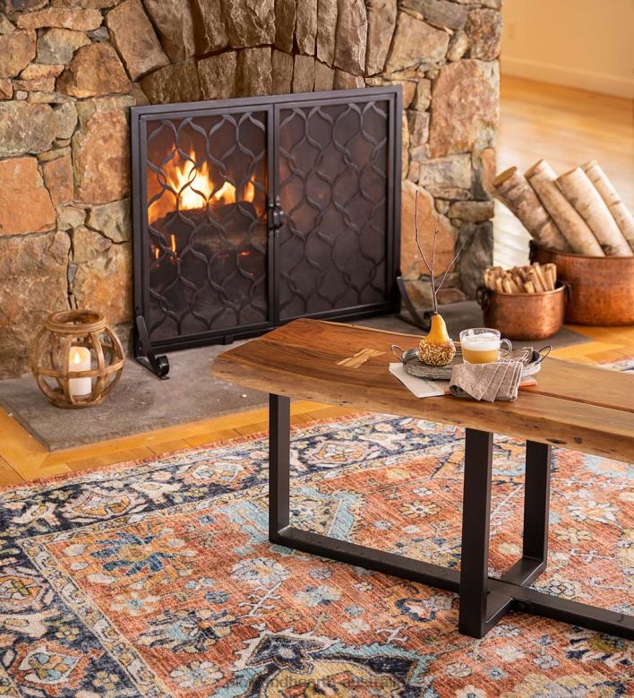 Plow & Hearth Astoria Two-Door Fireplace Screen, Small - Black P22BD3137 Fireplace