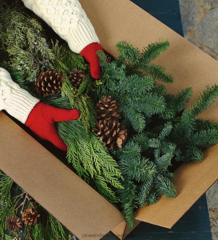 Plow & Hearth Holiday Woodland Evergreens 7 Lb. Box Of Greens P22BD1478 Houseware