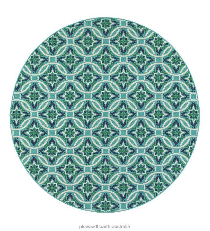 Plow & Hearth Indoor/Outdoor Lexington Medallion Rug P22BD1288 Houseware