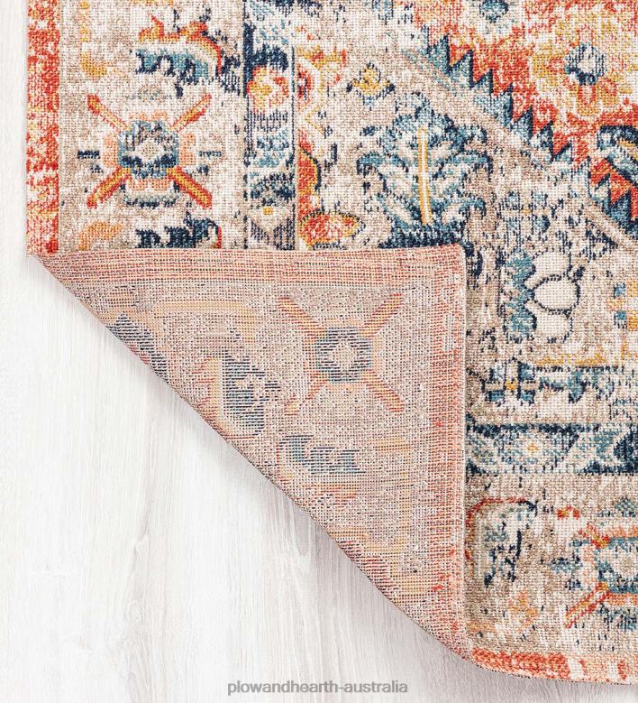 Plow & Hearth Indoor/Outdoor Penelope Traditional Rug P22BD1373 Houseware