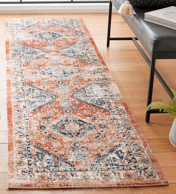 Plow & Hearth Indoor/Outdoor Penelope Traditional Rug P22BD1373 Houseware