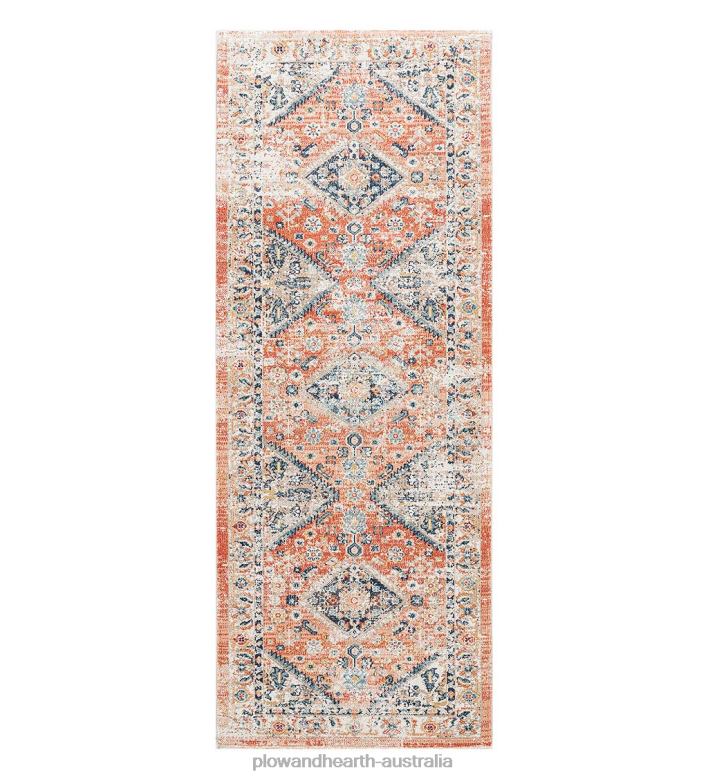 Plow & Hearth Indoor/Outdoor Penelope Traditional Rug P22BD1373 Houseware