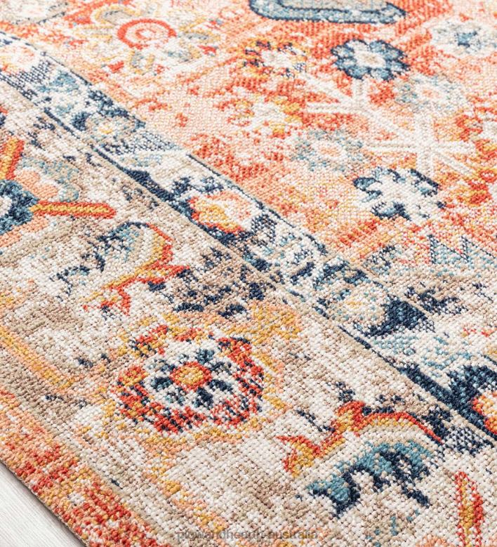 Plow & Hearth Indoor/Outdoor Penelope Traditional Rug P22BD1373 Houseware