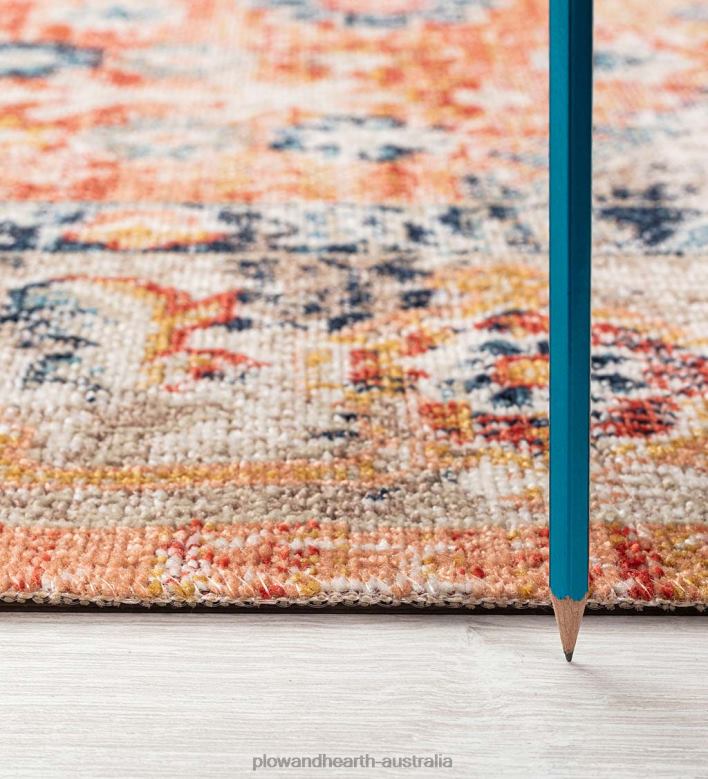 Plow & Hearth Indoor/Outdoor Penelope Traditional Rug P22BD1373 Houseware