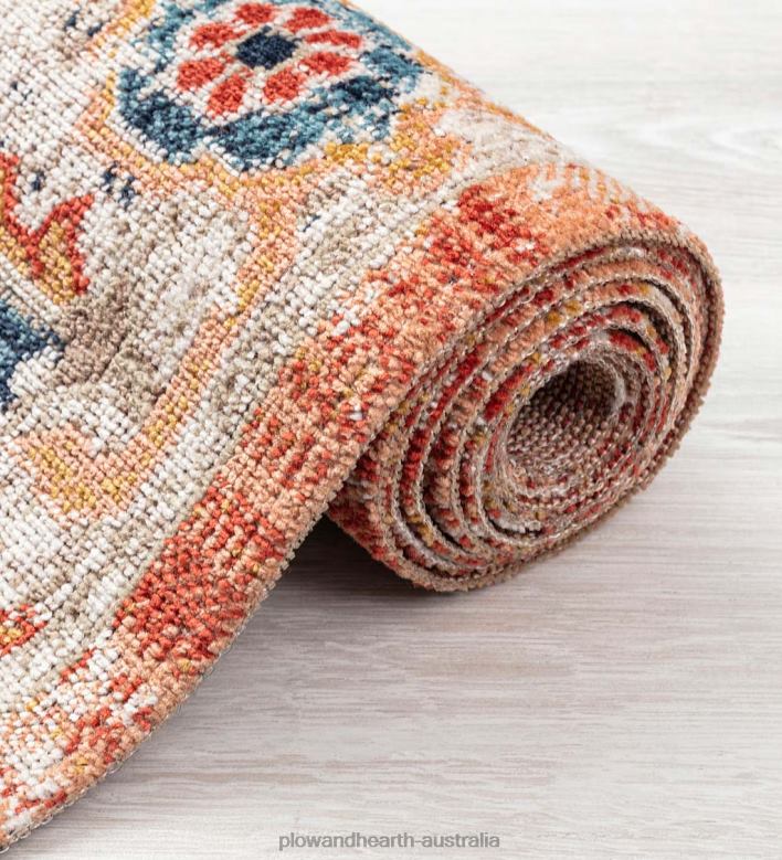 Plow & Hearth Indoor/Outdoor Penelope Traditional Rug P22BD1373 Houseware