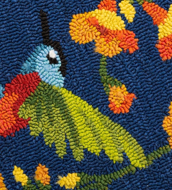 Plow & Hearth Indoor/Outdoor Trumpet Vine With Hummingbird Hooked Polypropylene Accent Rug P22BD1302 Houseware
