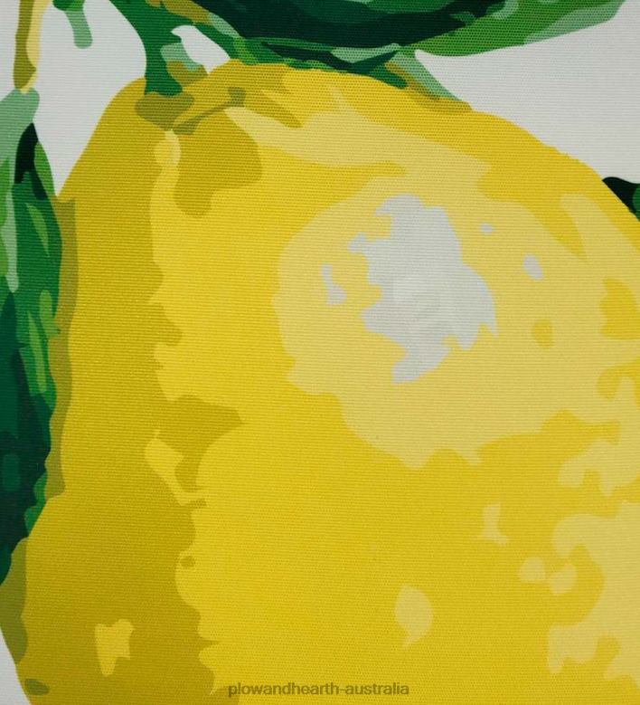 Plow & Hearth New York Botanical Garden Lemon Throw Pillow P22BD1262 Houseware