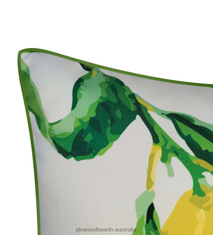 Plow & Hearth New York Botanical Garden Lemon Throw Pillow P22BD1262 Houseware