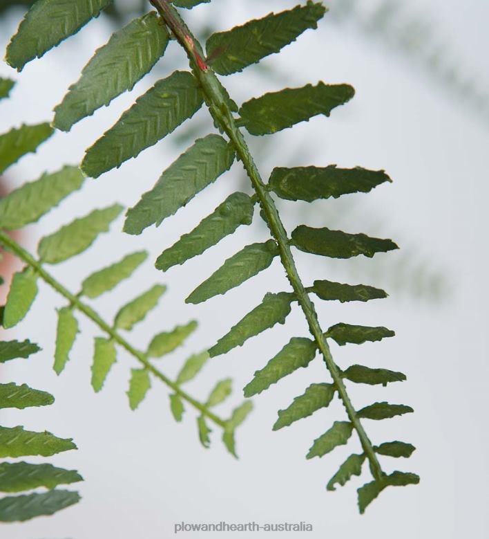 Plow & Hearth Faux Real Fern Artificial Potted Plant P22BD2432 Houseware