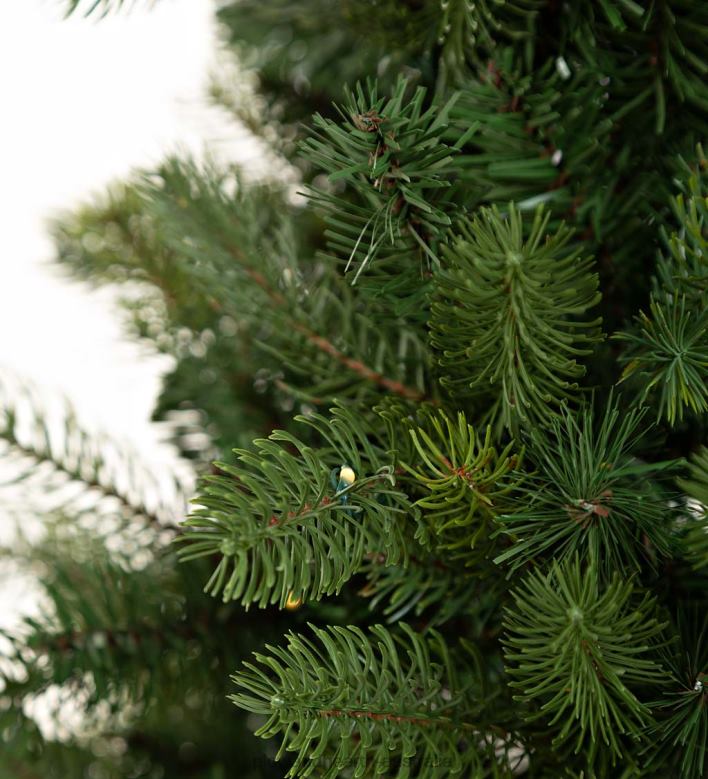 Plow & Hearth Indoor/Outdoor Keswick Potted Pine Tree with Warm White LEDs P22BD1671 Houseware