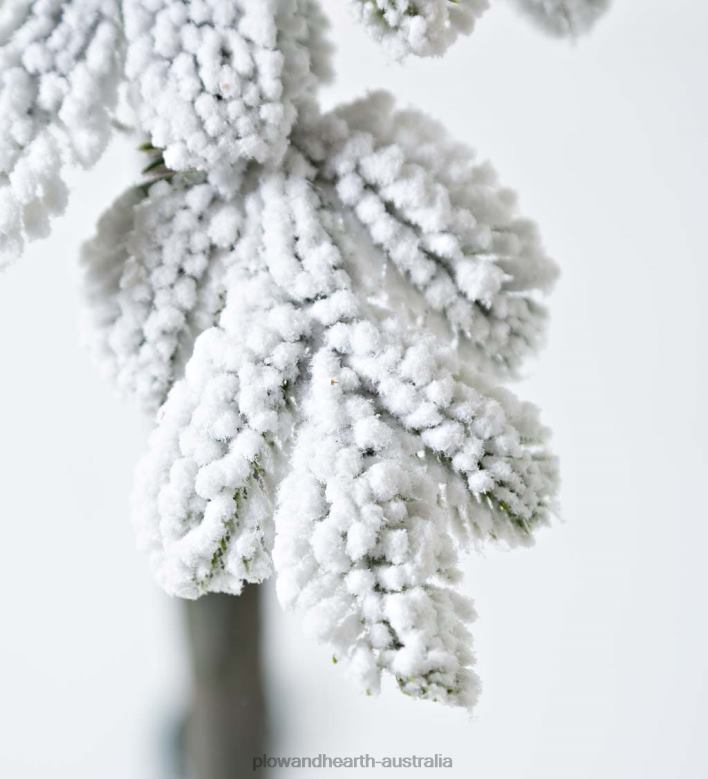 Plow & Hearth 6' Monte Rosa Flocked Alpine Fir Christmas Tree with 150 Warm White LEDs P22BD3232 Seasonal & Gifts