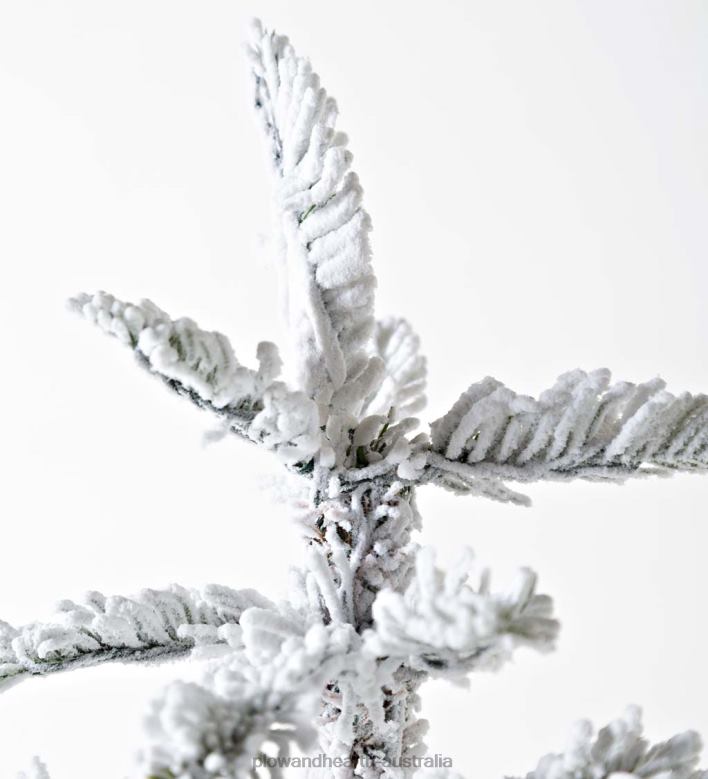 Plow & Hearth 6' Monte Rosa Flocked Alpine Fir Christmas Tree with 150 Warm White LEDs P22BD3232 Seasonal & Gifts