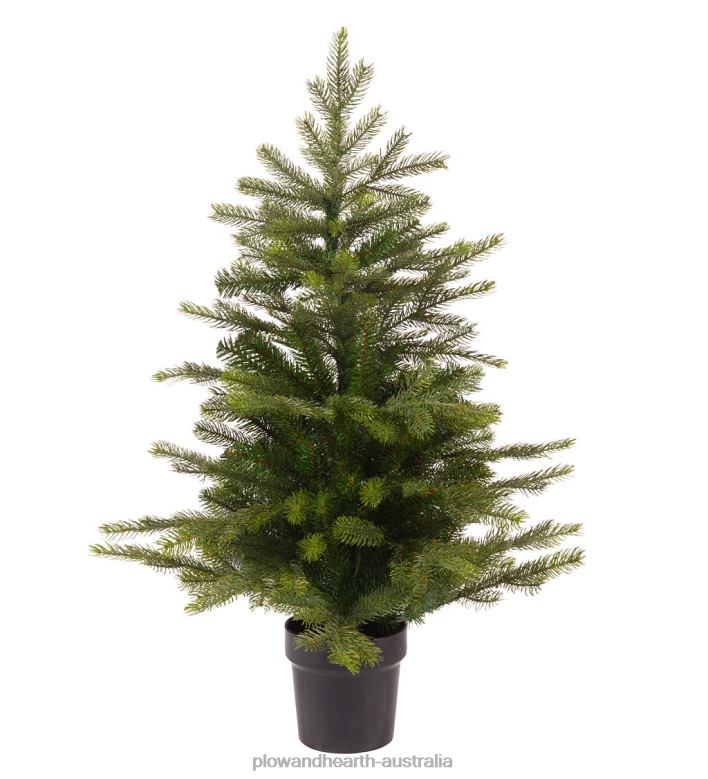 Plow & Hearth Grandis Fir Potted Christmas Tree P22BD2140 Seasonal & Gifts