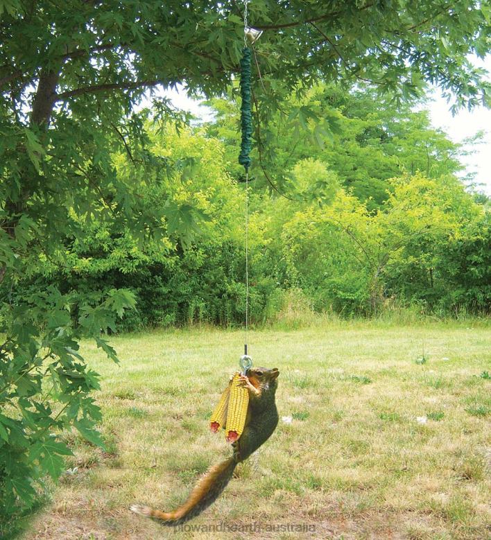 Plow & Hearth Squngee Jump Squirrel Feeder P22BD3004 Seasonal & Gifts