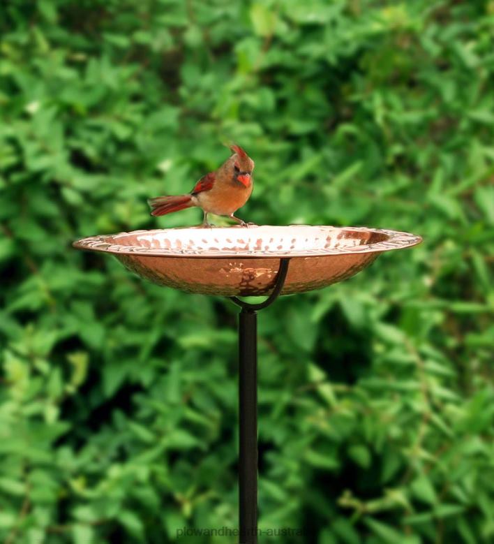 Plow & Hearth Pure Copper Birdbath on Powder-Coated Steel Pole With Sturdy Three-Prong Stake P22BD830 Yard & Garden