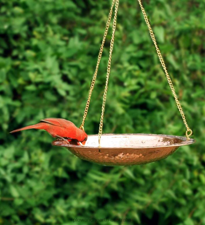 Plow & Hearth Pure Copper Hanging Birdbath on 17Long Brass Chain with Hook P22BD852 Yard & Garden
