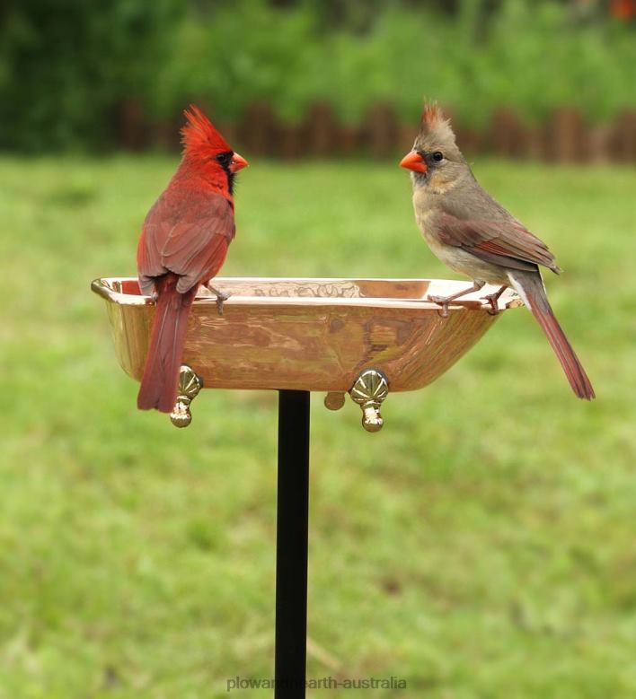 Plow & Hearth Splish Splash Birdbath, Polished Copper - Copper P22BD844 Yard & Garden
