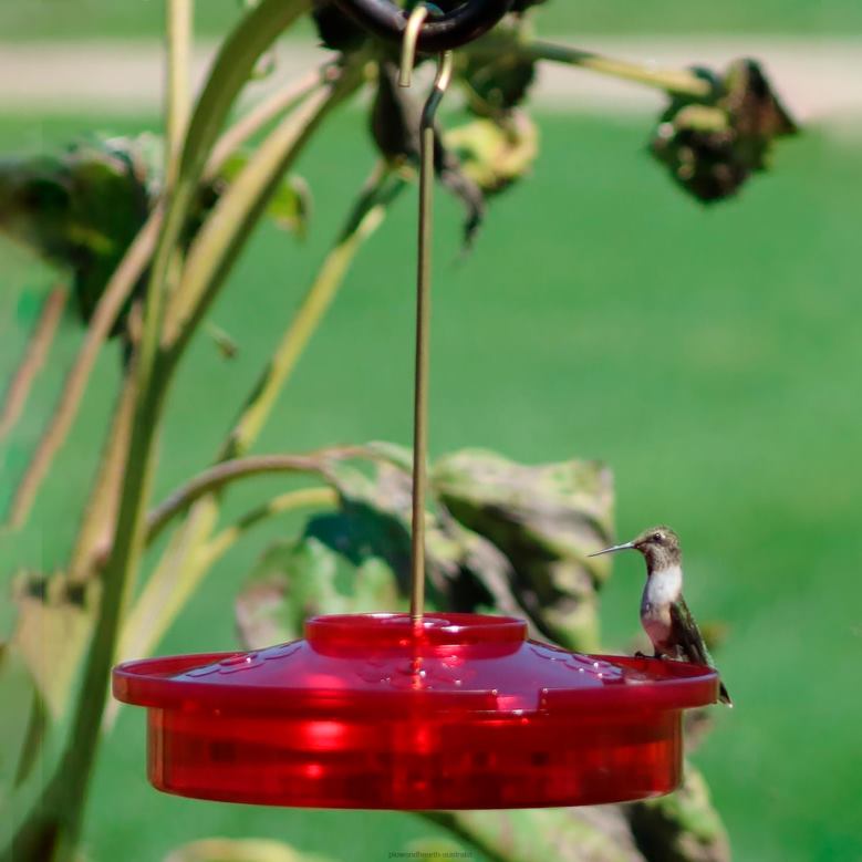 Plow & Hearth Hanging Hummingbird Haven Feeder P22BD820 Yard & Garden