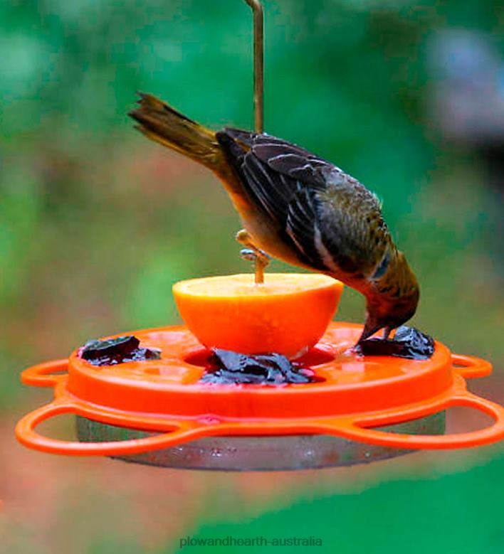 Plow & Hearth Oriolefest Oriole Feeder, 12 oz. P22BD824 Yard & Garden