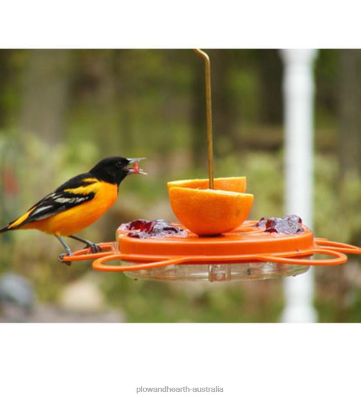Plow & Hearth Oriolefest Oriole Feeder P22BD802 Yard & Garden