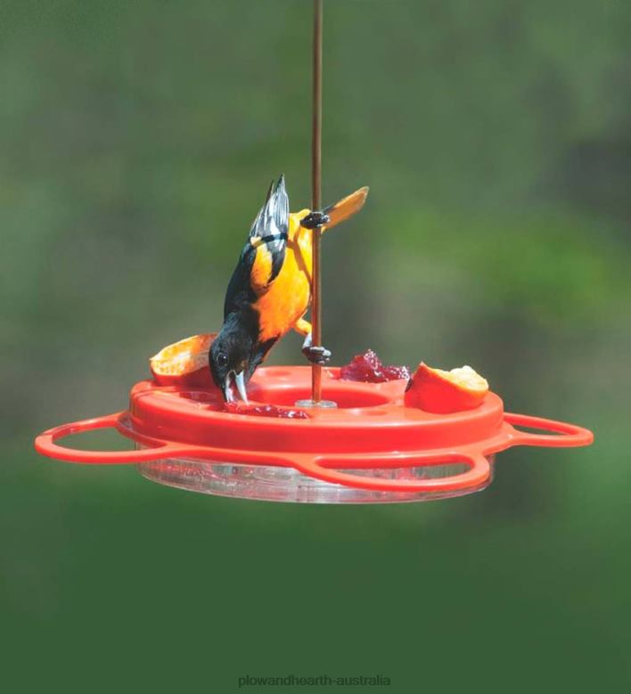 Plow & Hearth Oriolefest Oriole Feeder P22BD802 Yard & Garden