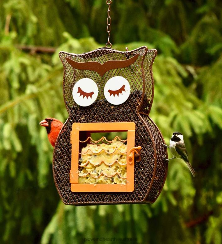 Plow & Hearth Owl Dual Seed/Suet Birdfeeder P22BD755 Yard & Garden