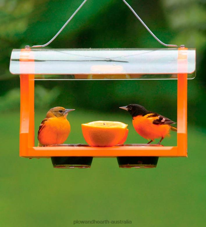 Plow & Hearth Recycled Plastic Poly-Lumber Oriole Bird Feeder P22BD752 Yard & Garden