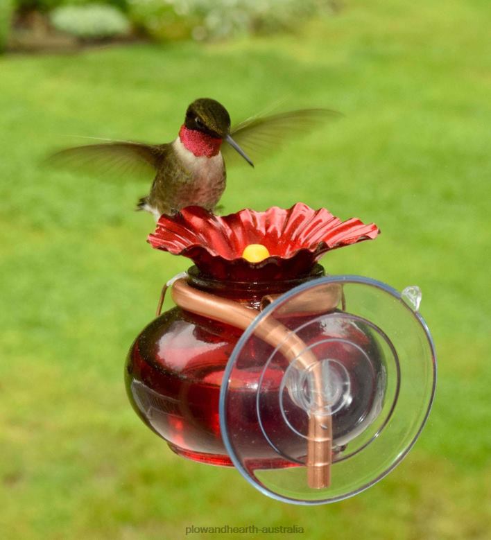 Plow & Hearth Window Watch Hummingbird Feeder P22BD735 Yard & Garden