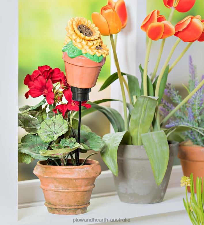 Plow & Hearth All-In-One Ceramic Fruit Fly/Fungus Gnat Trap with Watering Globe - Mushroom P22BD905 Yard & Garden