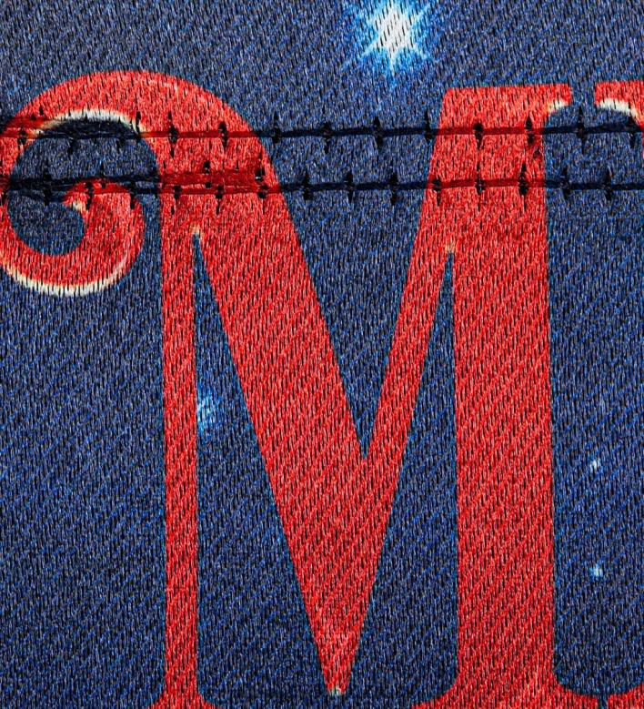 Plow & Hearth Santa's Sleigh on Christmas Lustre Garden Flag P22BD114 Yard & Garden