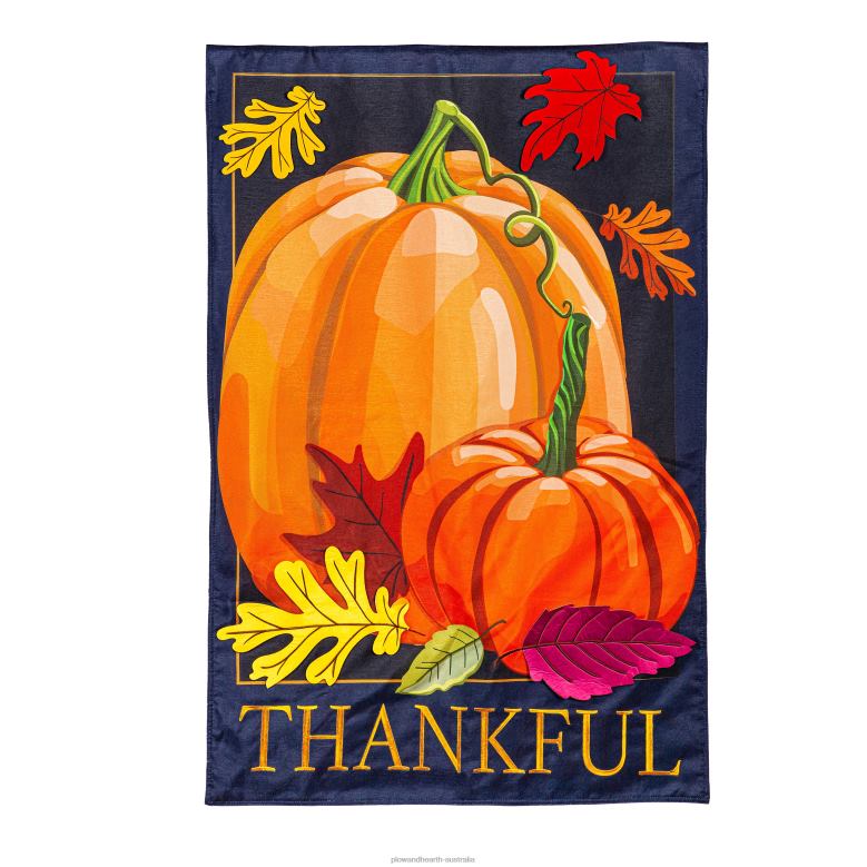 Plow & Hearth Thankful Pumpkins Estate Flag P22BD619 Yard & Garden