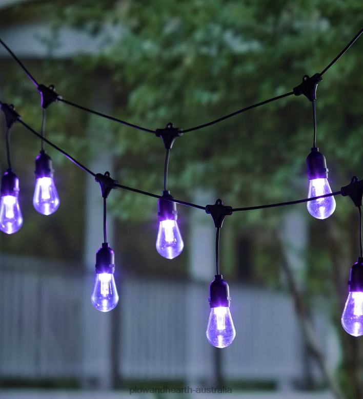 Plow & Hearth Solar Multi-Colored String Lights P22BD409 Yard & Garden