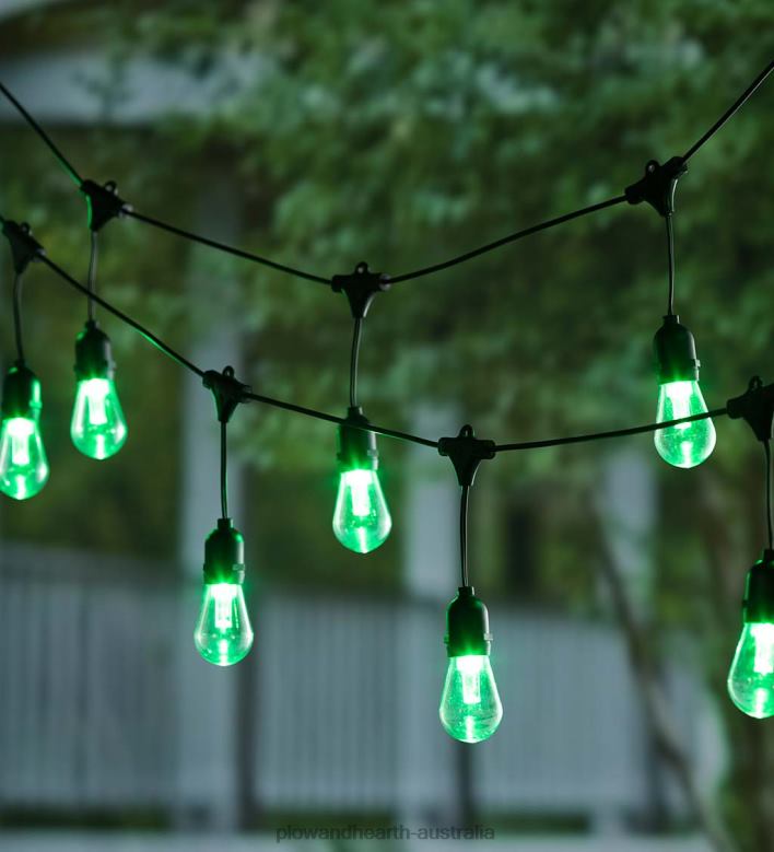 Plow & Hearth Solar Multi-Colored String Lights P22BD409 Yard & Garden