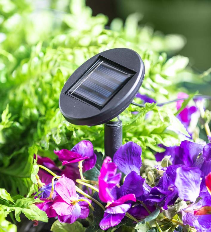 Plow & Hearth Colorful Solar Path Lights with Frosted Finish P22BD444 Yard & Garden