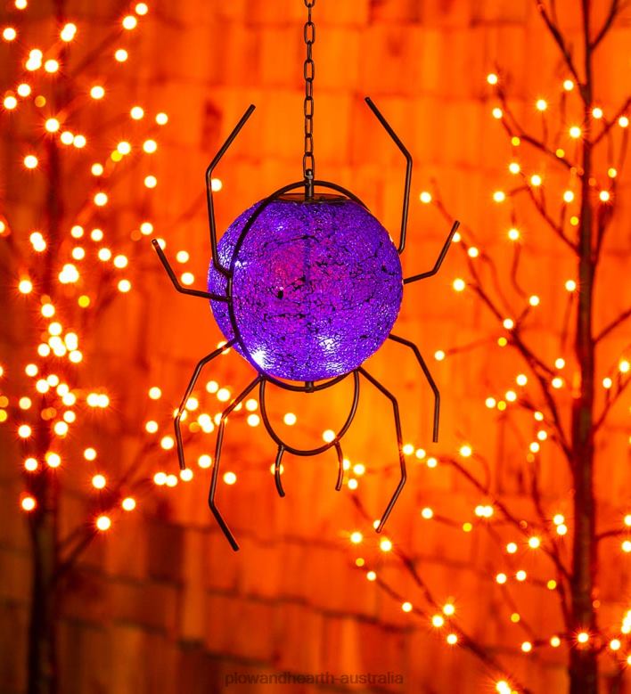 Plow & Hearth Solar Hanging Spider Gazing Ball P22BD476 Yard & Garden